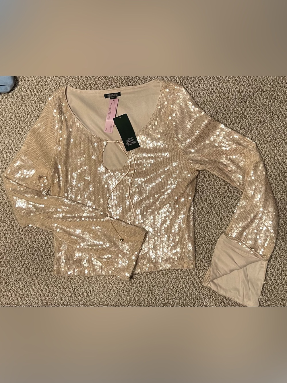 Wild Fable Champagne Sequin Long-Sleeve Top Medium